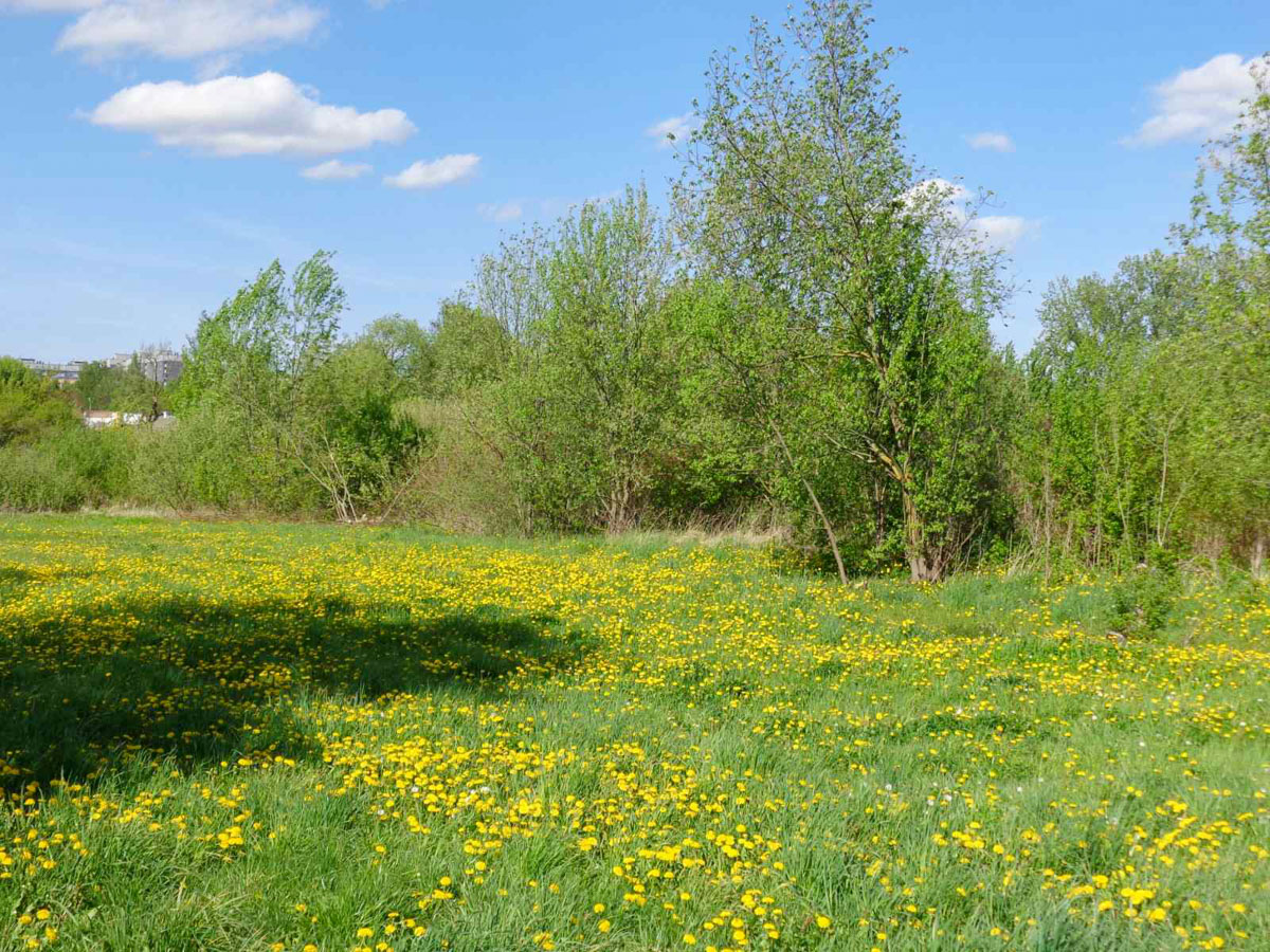 Никита Спарнюк